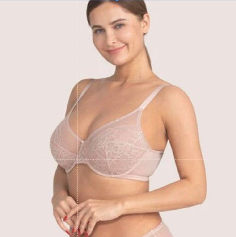 HSIA Enchante Dusty Pink Lace Underwire Bra Size 36DDD NWT